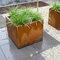 Bahçe için Açık Dayanıklı Kare Paslı Corten Çelik Ekici Kutuları